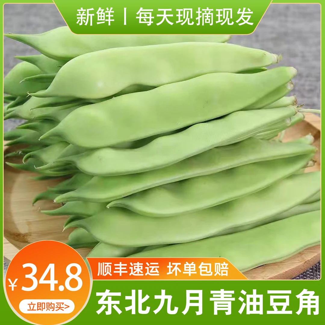 东北九月青油豆角现摘现发三斤五斤顺丰包邮