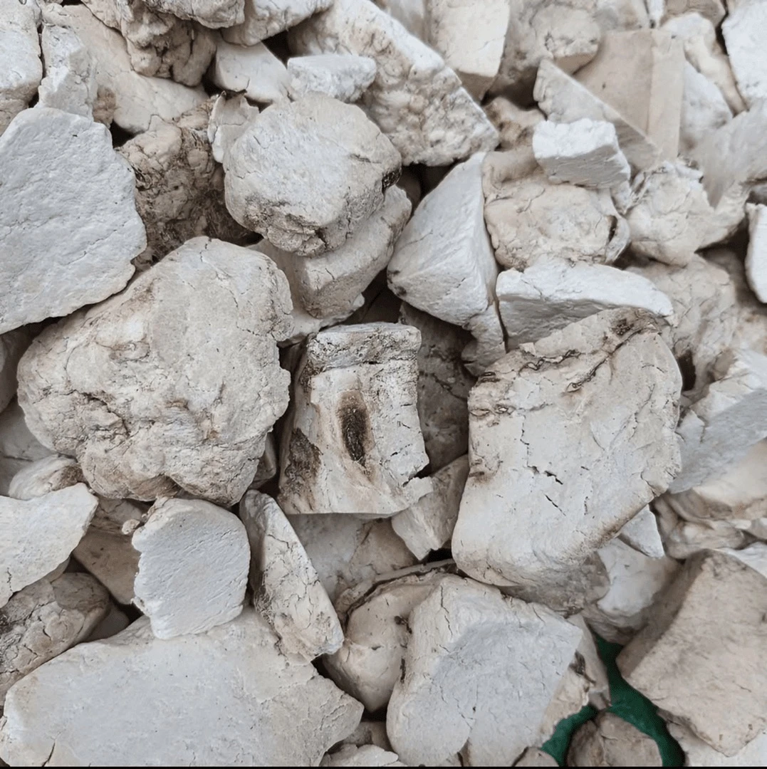 云南村淘“茯 -，零”农产品   ---非羊肚菌