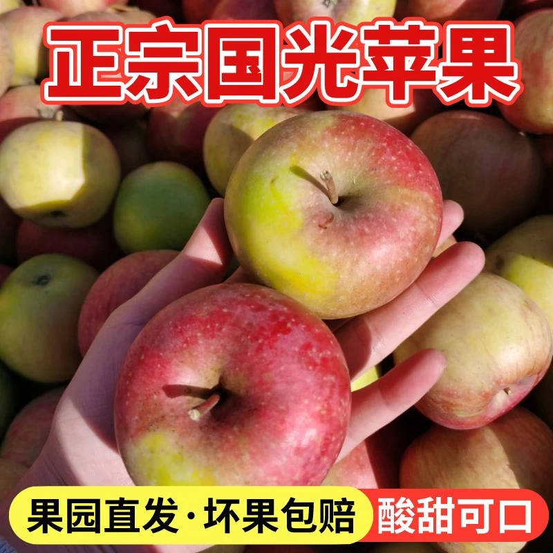 酸甜可口,不套袋,不打蜡,国光苹果