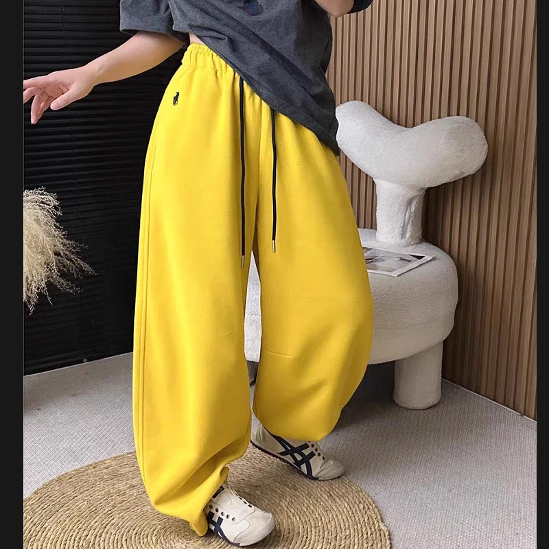 2024冬季新款美式小马刺绣束脚裤欧洲站宽松运动休闲裤加绒卫裤女