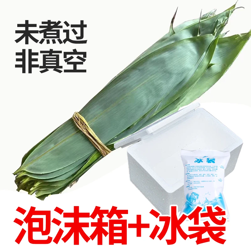 【泡沫箱+冰袋发货】新鲜粽叶精选箬叶粽子叶50/100片装现摘现发
