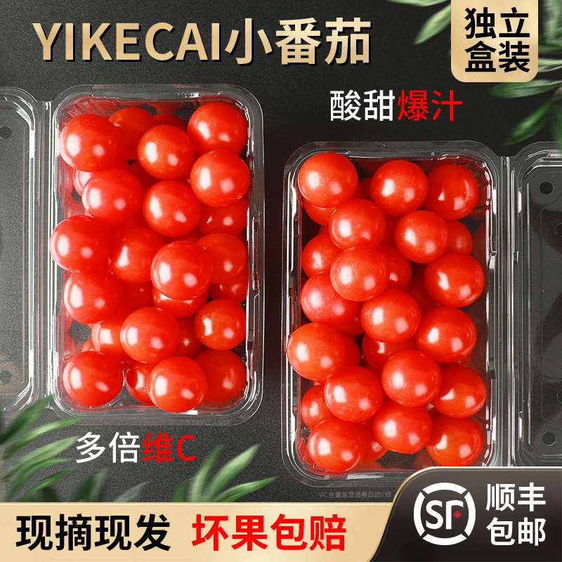 槿馐 YIKECAI小番茄 水果小西红柿现摘新鲜串红樱桃番茄圣女果