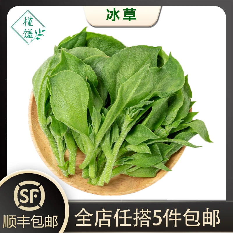 槿馐新鲜冰草150g/盒 冰菜非洲冰叶野菜沙拉蔬菜 凉拌冰草5件包邮