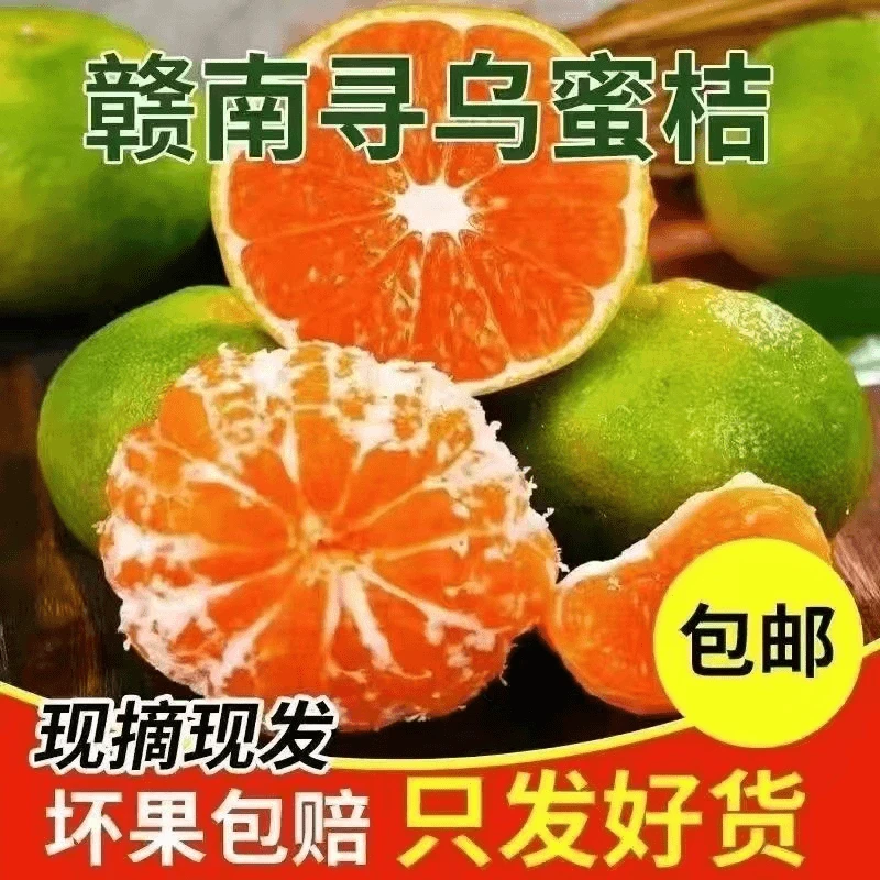 江西赣南寻乌蜜橘果园直发新鲜孕妇水果青皮橘子无籽蜜桔5斤包邮
