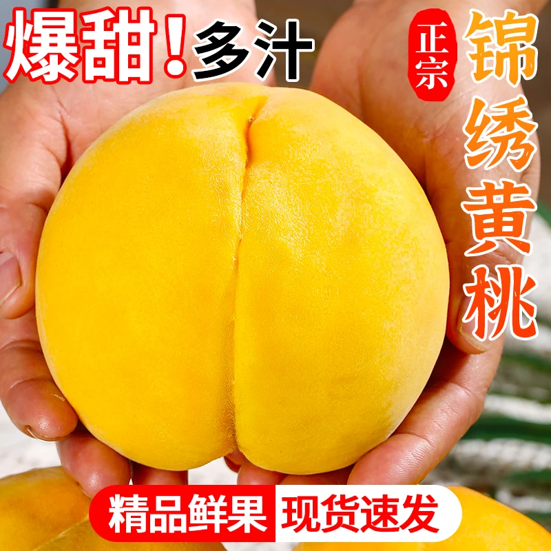 新鲜锦绣黄桃当季现摘正宗黄毛桃黄金蜜桃甜脆桃孕妇大果整箱包邮