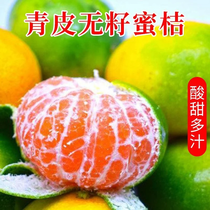 现摘高山蜜桔净重5斤装当季新鲜水果早熟蜜桔子超甜薄皮-百