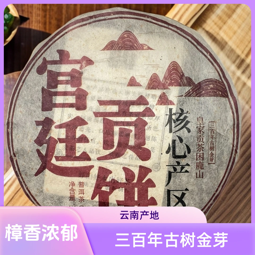 十一原料宫廷古树熟茶  樟香