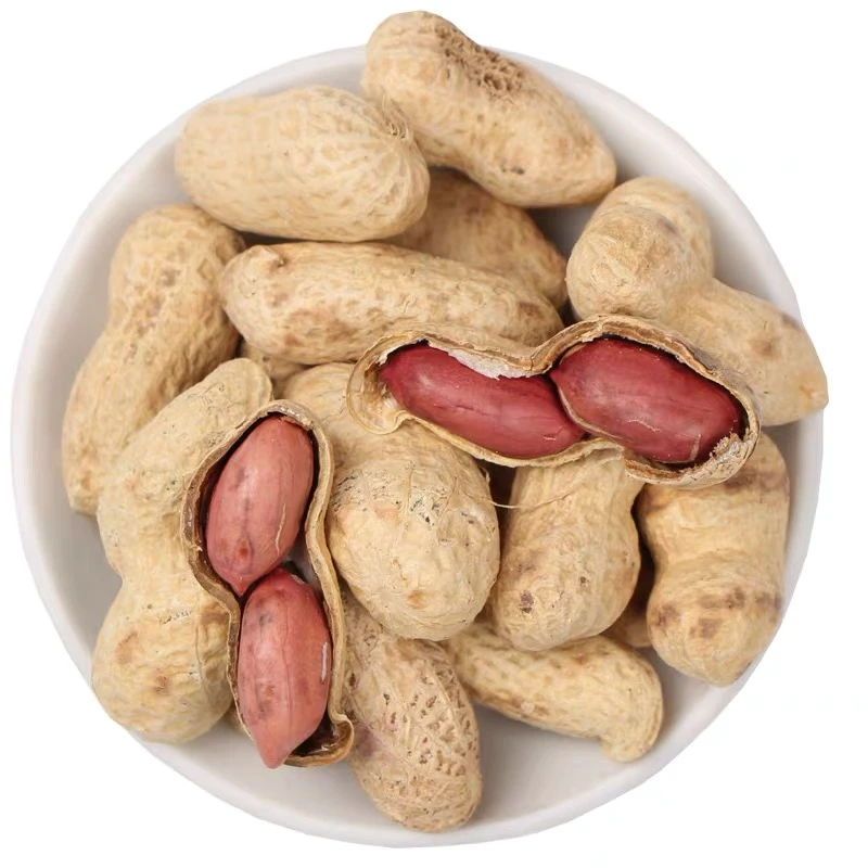 原味花生炒熟东北小珍珠花生农家铁锅炒花生现炒现发带壳原味品质