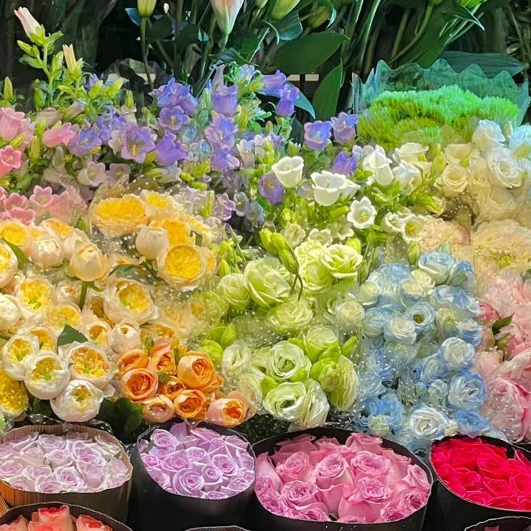 花市一物一拍 下单备注编号 顺丰包邮 鲜花快递运费