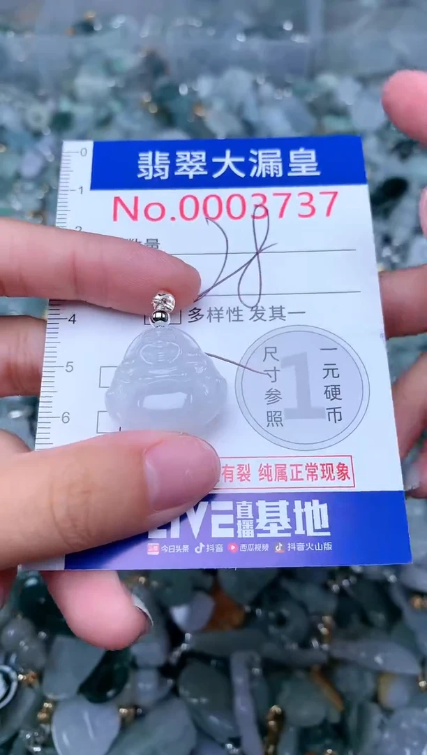 【闪购商品】翡翠颈饰未镶嵌0000003737