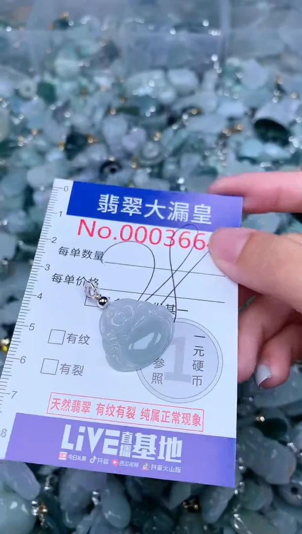 【闪购商品】翡翠颈饰未镶嵌0000003664