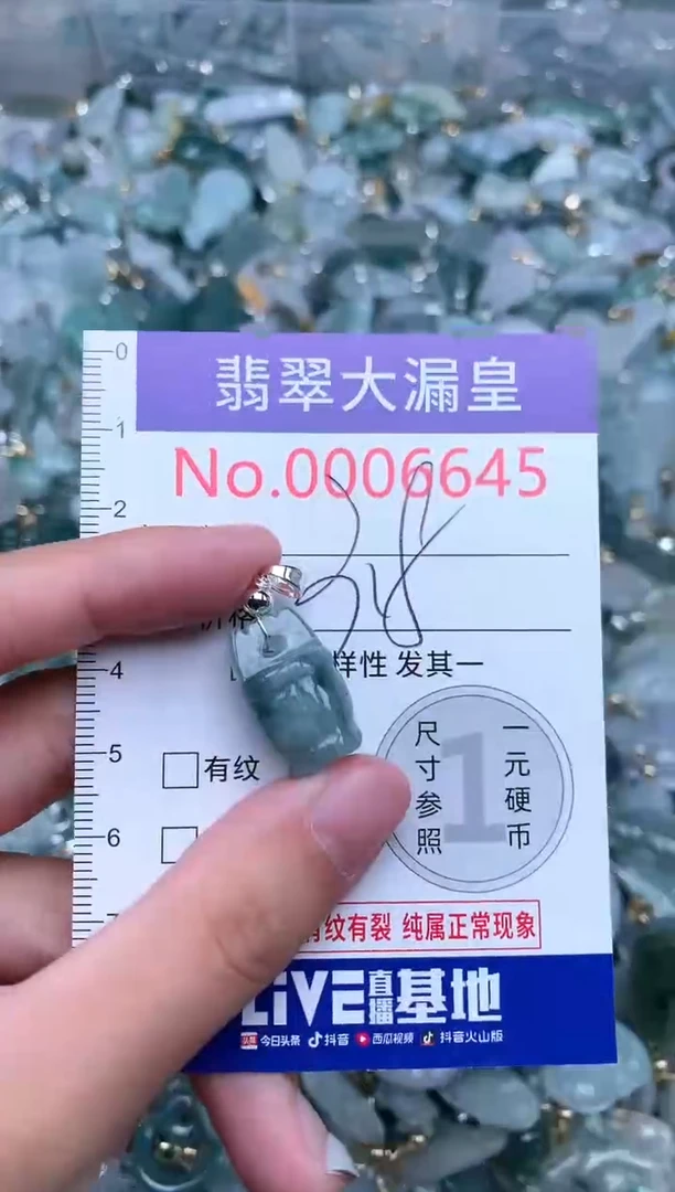 【闪购商品】翡翠吊坠(不含链)未镶嵌6645