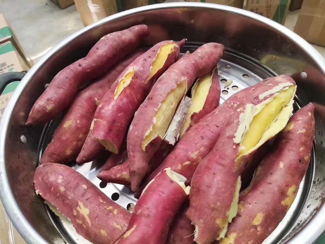 陕西临潼板栗红薯3斤装小果