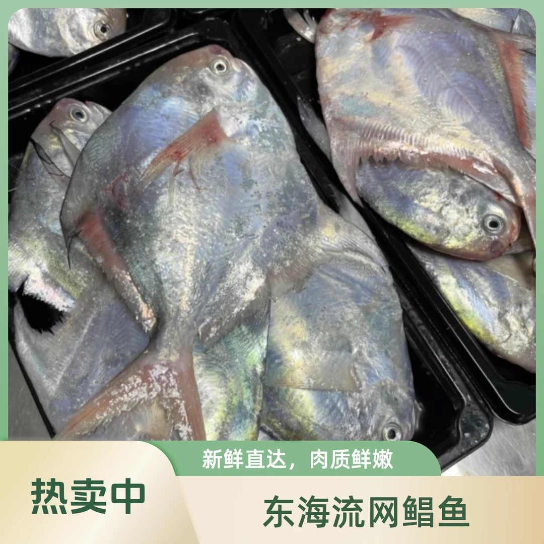东海头网流网鲳鱼野生小鲳鱼1斤（6-7条）*3斤