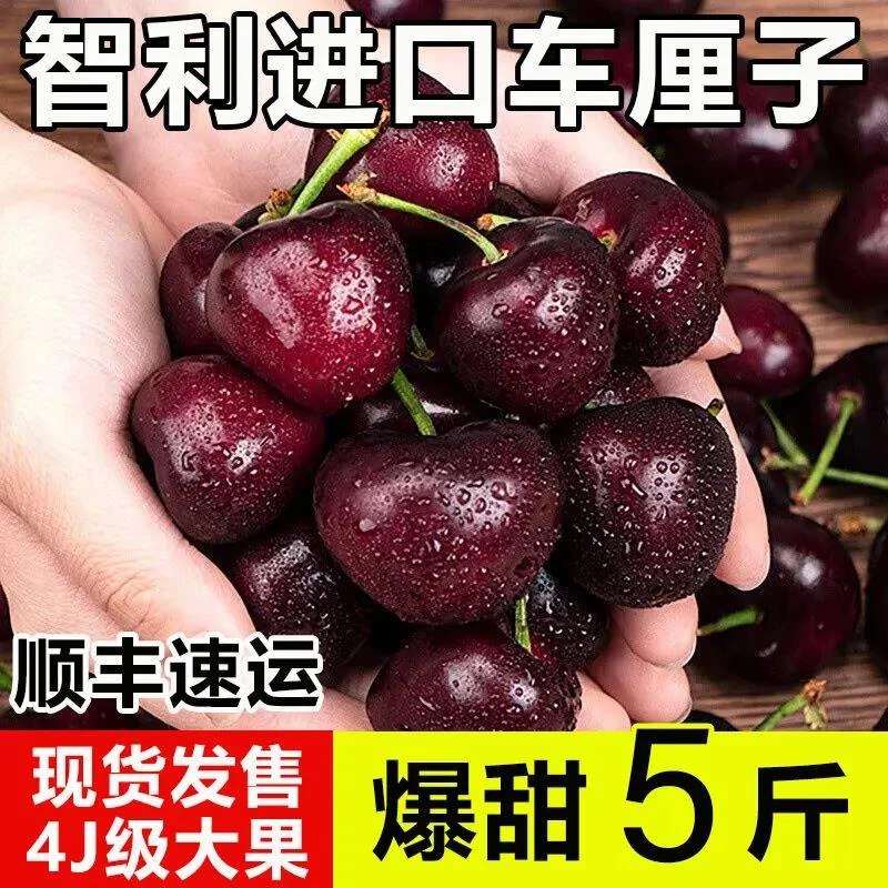 【小扬甄选】【极速发货】智利进口车厘子新鲜大樱桃现货孕妇水果