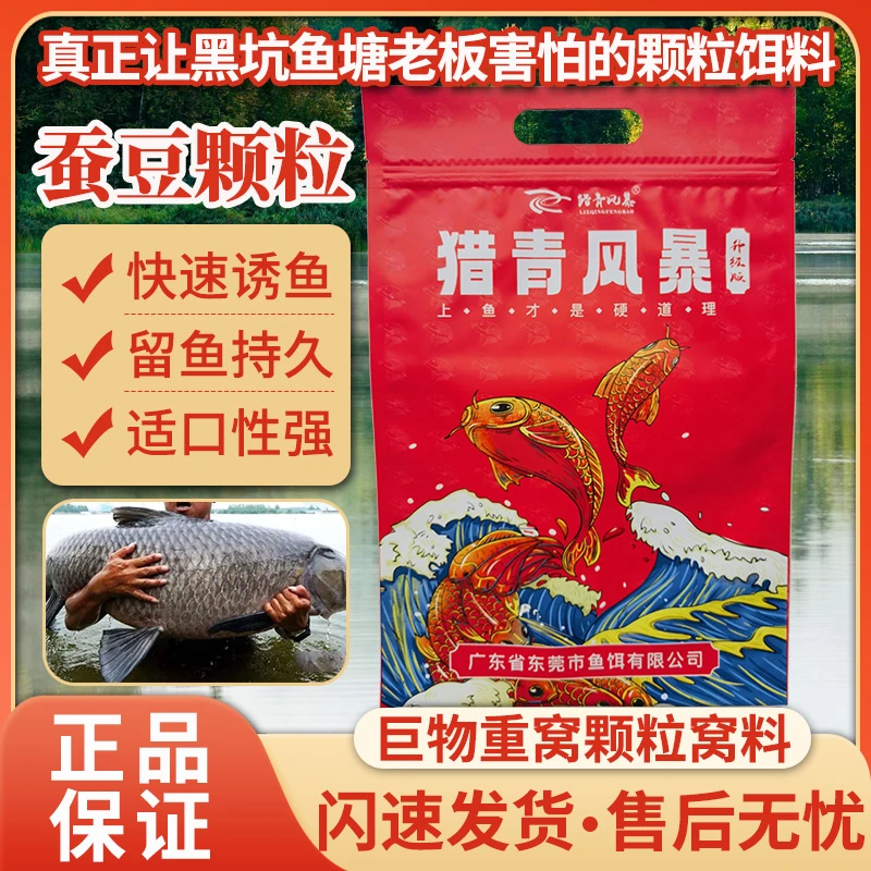 夏季钓大青窝料好用黑坑专用挂钩皮筋大物青鱼饵料青鱼蚕豆颗粒