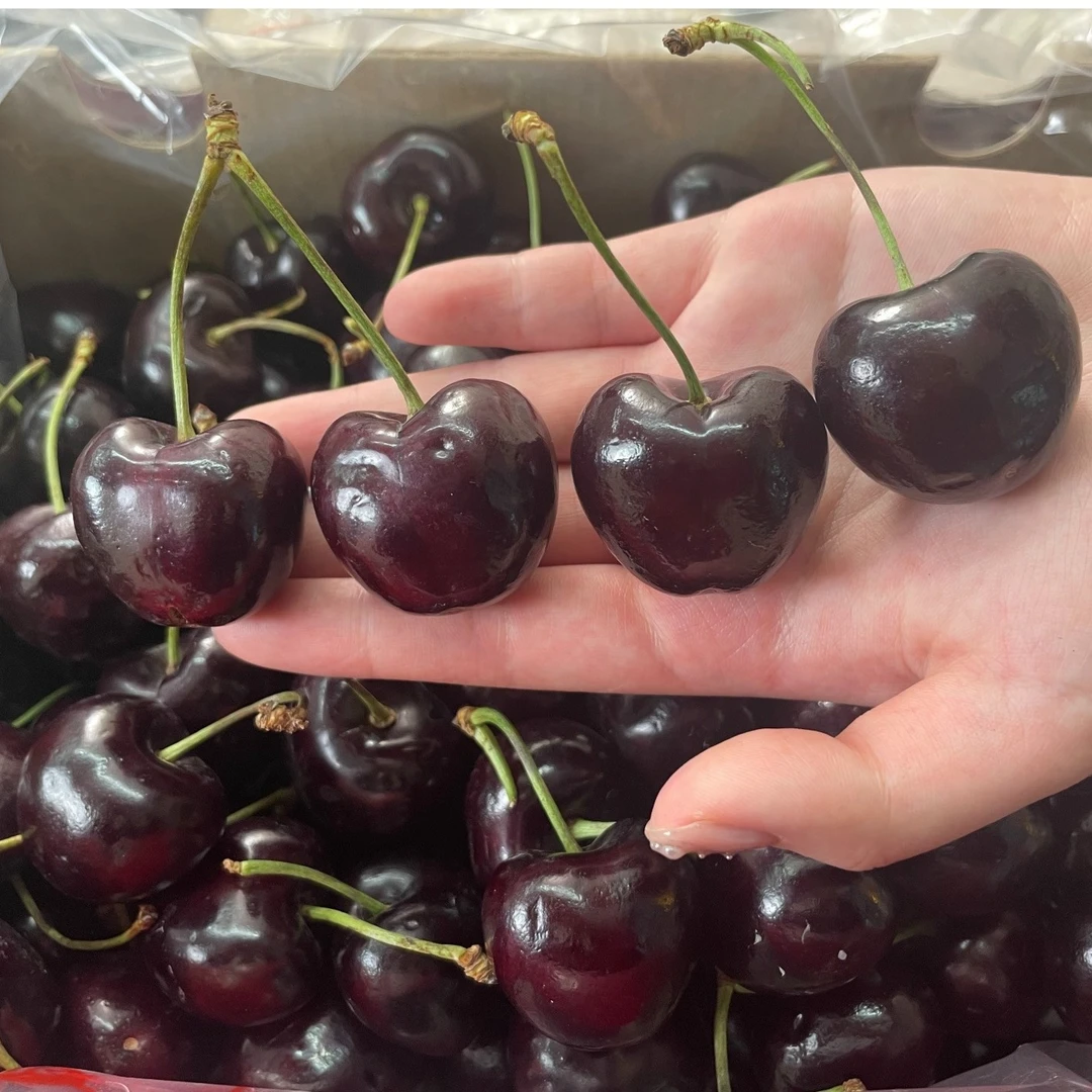 【4斤原箱】桑提娜车厘子2J3J原箱｜新鲜｜爆汁｜售后无忧｜京东速运