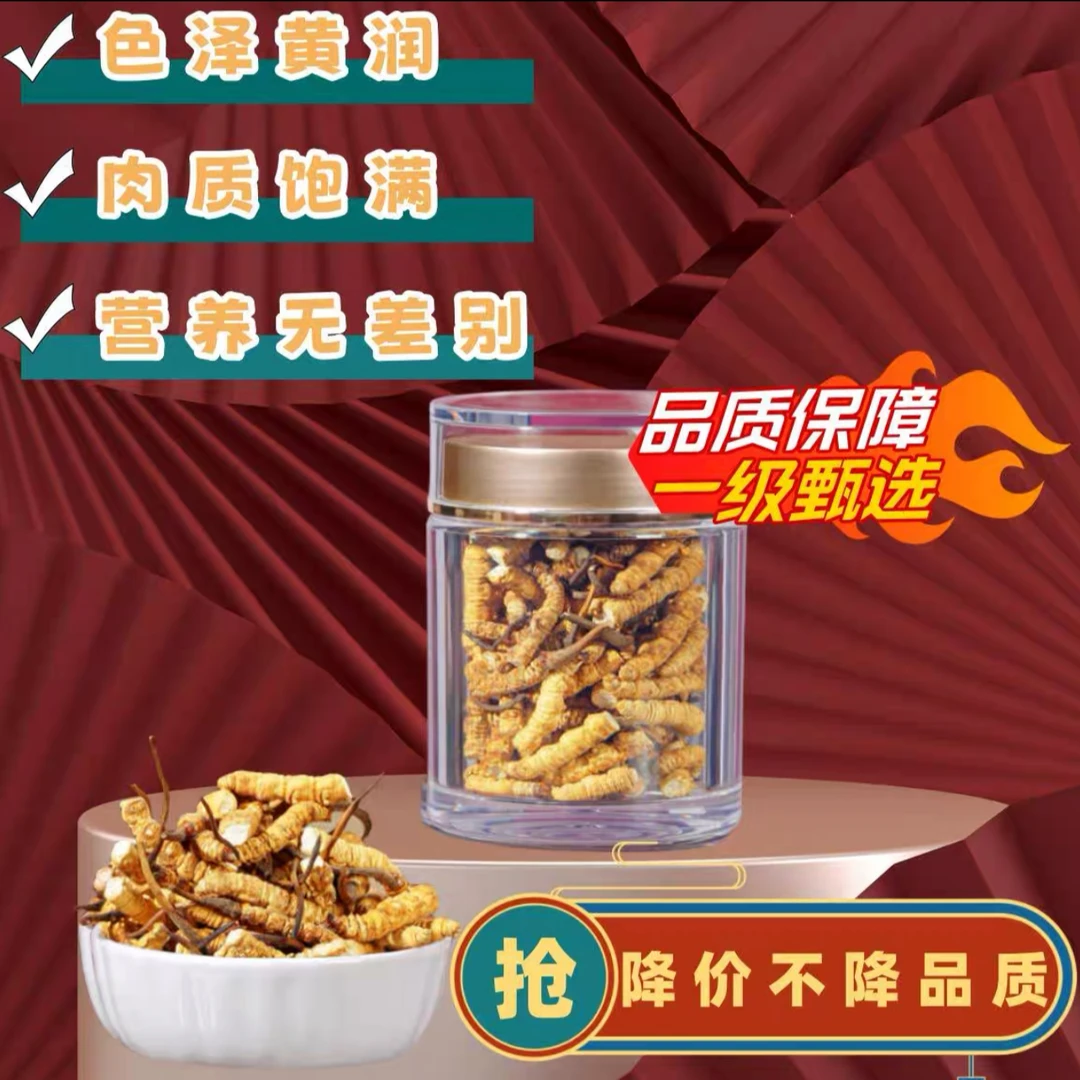 【精选断草】西藏那曲2024年断草高海拔头期A级冬虫夏草10克50克