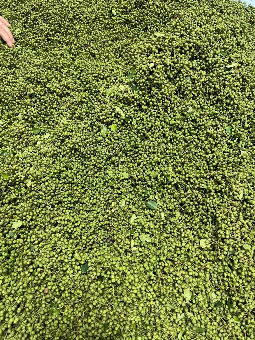 湖北咸宁通城花椒泡茶椒1份