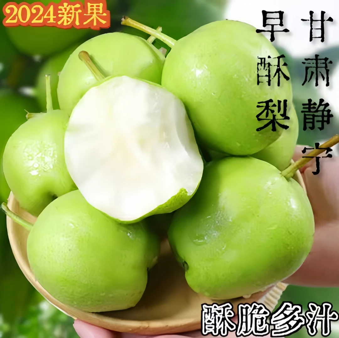 甘肃静宁早酥梨皮薄脆甜多汁现摘现发口感细腻