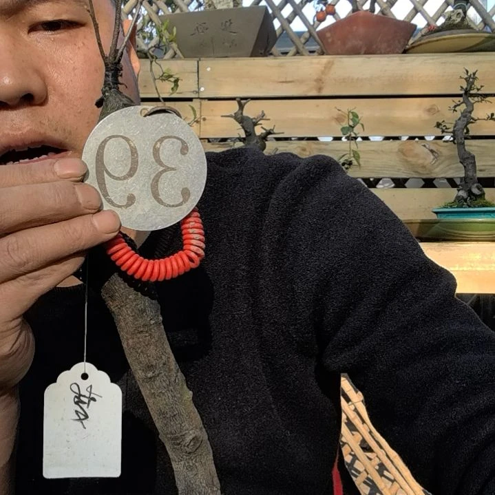 【闪购商品】啊*金弹子老鸭是这样的亲