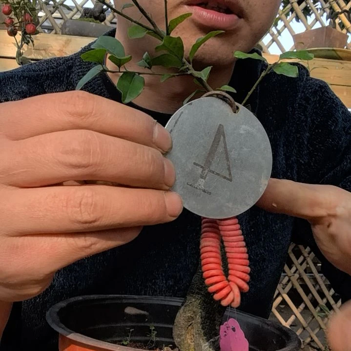 【闪购商品】飞**常