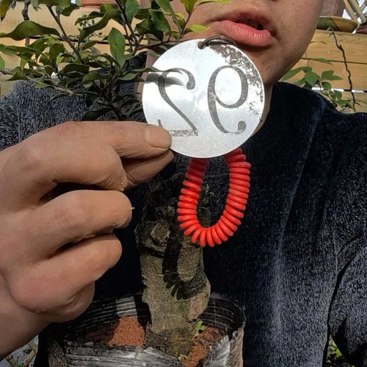 【闪购商品】0**3金弹子