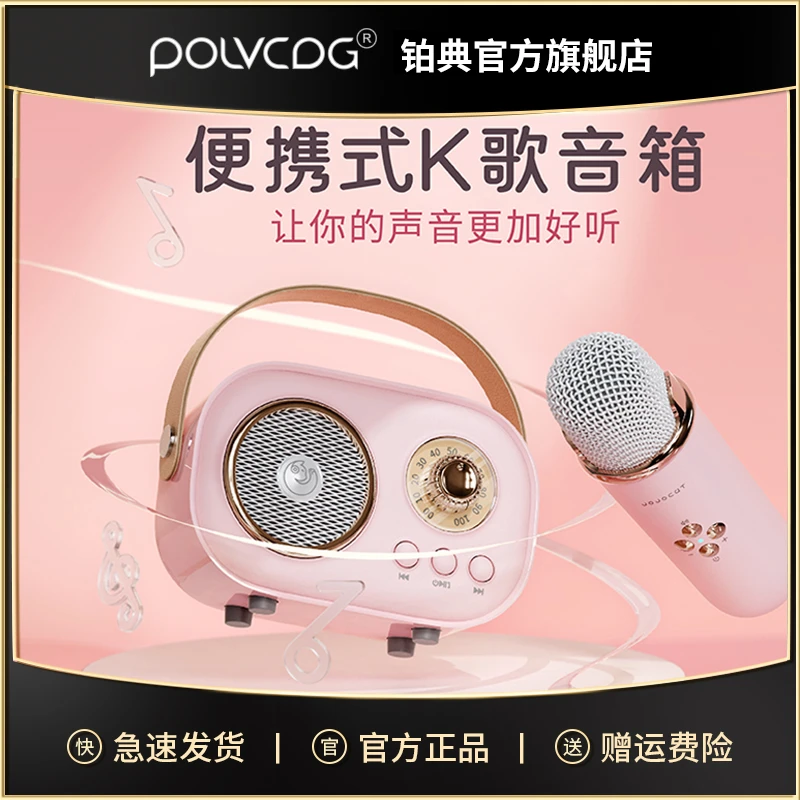 POLVCDG/铂典家庭KTV音响无线蓝牙麦克风话筒户外K歌一体机唱歌