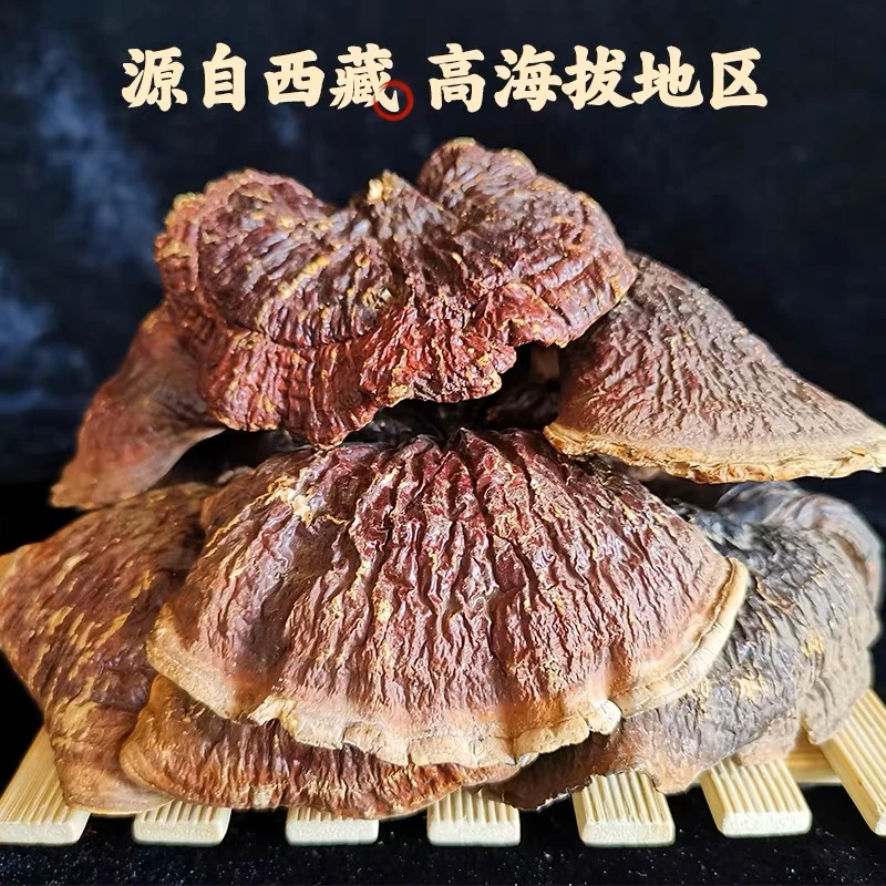 L西藏白肉灵芝 煲汤 煮水 煲汤 泡酒100g/袋。