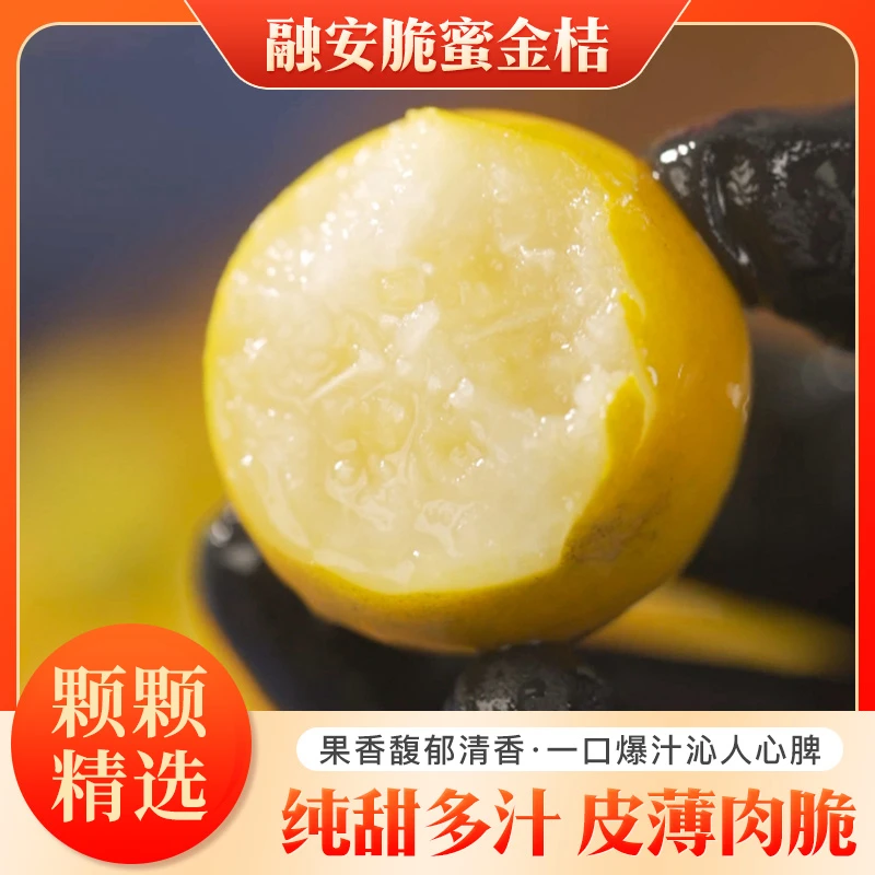 【果王礼盒装】融安脆蜜金桔新鲜第三代纯甜冰糖金桔皮薄多汁2斤起