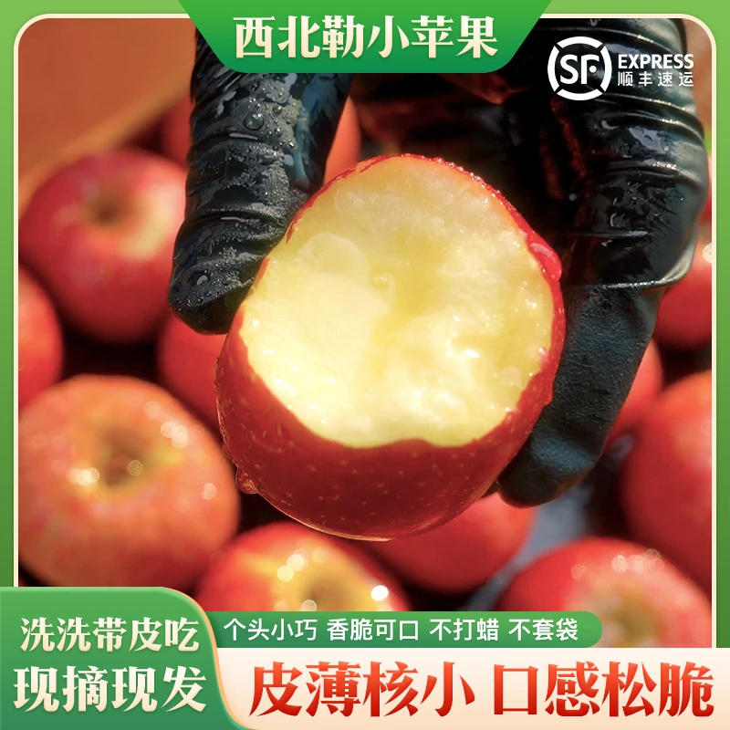 云南西北勒小苹果新鲜小苹果脆甜小苹果丑苹果现摘当季水果3斤起