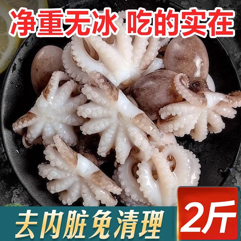 新鲜八爪鱼鲜活冷冻小章鱼迷你短腿八抓鱼大爆头去内脏捞汁小海鲜