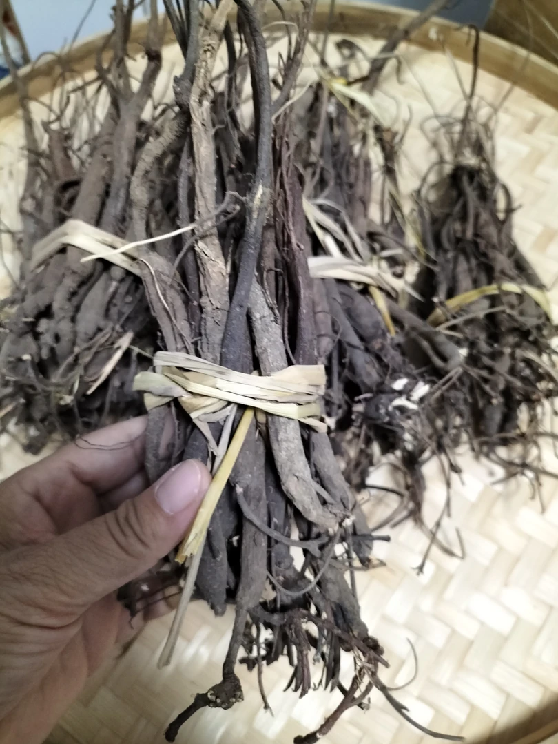 清远英德粤北山区黑皮野生千根拔整根