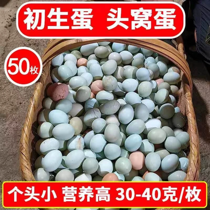 【50枚初生蛋】正宗农村散养绿壳土鸡蛋新鲜现发孕妇月子乌鸡初生蛋