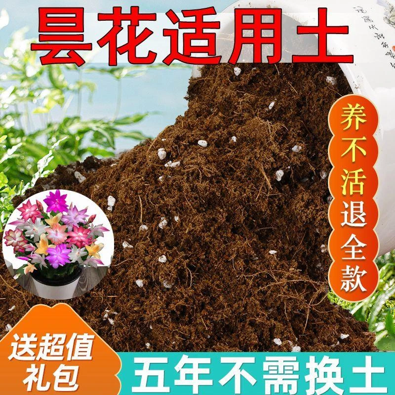 【送礼包】昙花适用土生根疏松透气营养土园艺盆栽绿植土专用肥料