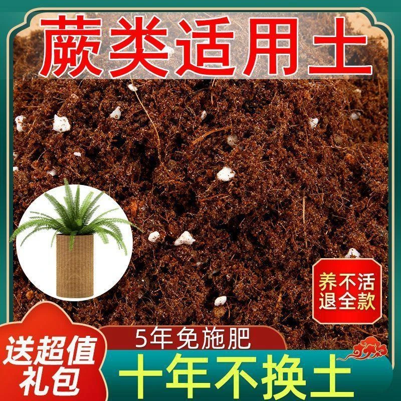 蕨类适用营养土阳台养花种菜盆栽泥炭土疏松透气育苗土有机肥料