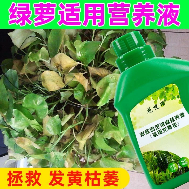 【拍一发三】绿萝营养液通用促生根黄叶急救室内盆栽绿植专用肥