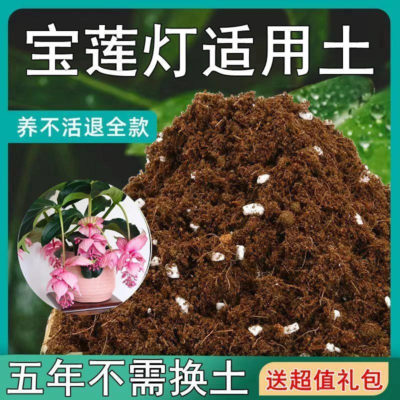 【送礼包】宝莲灯适用土疏松透气盆栽绿植专用室内植物营养土肥料