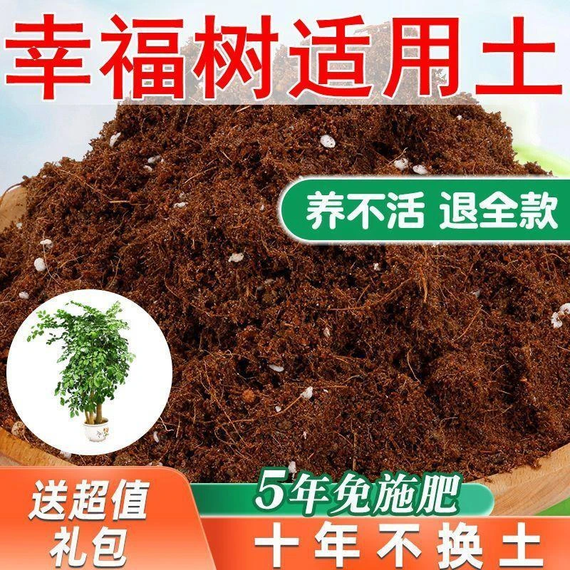【送礼包】幸福树适用土疏松透气椰糠土家用通用型营养土专用肥料