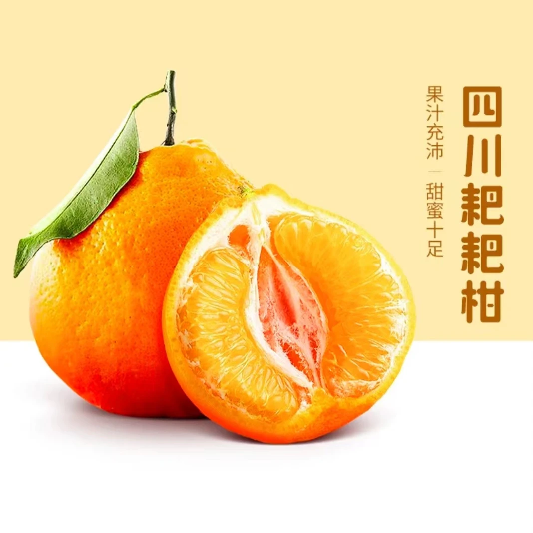 正宗耙耙柑春见四川眉山果园现摘现发新鲜应季柑橘水果爆甜多汁