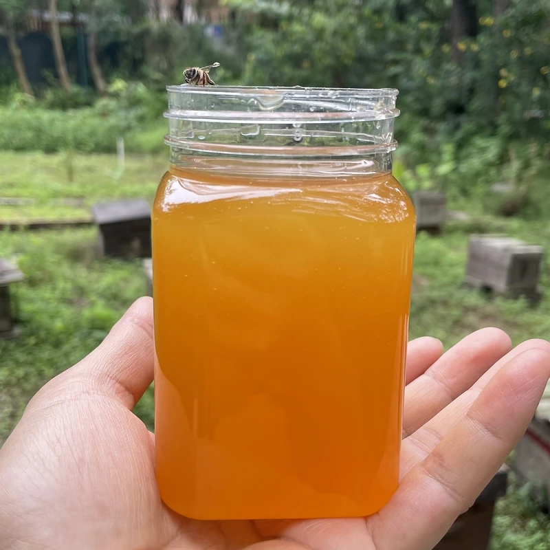 广西深山蜂场直发农家成熟封盖土蜂山花蜜