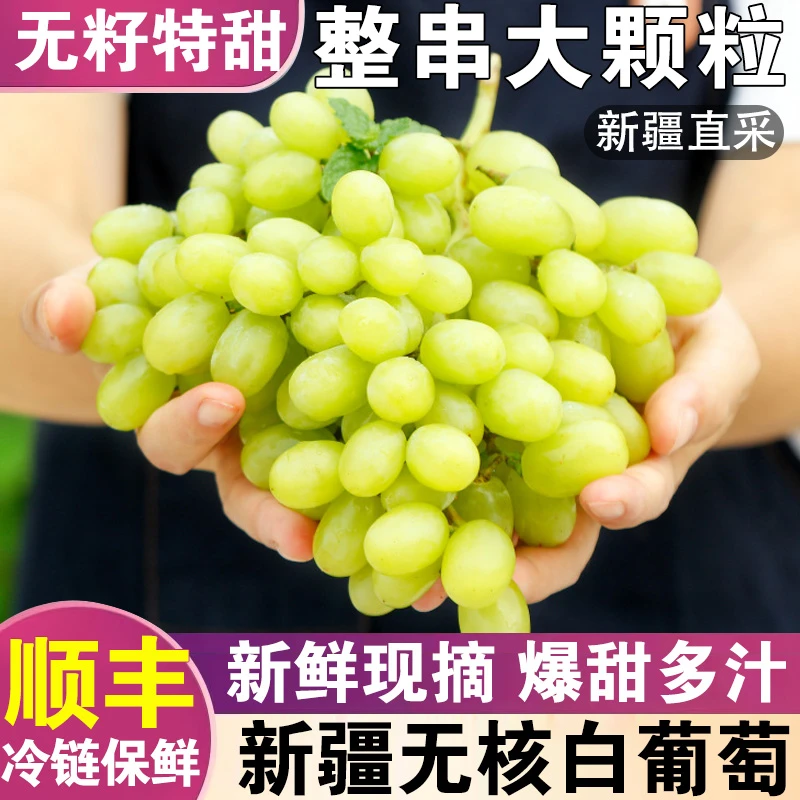 【顺丰速运】正宗新疆吐鲁番无核白葡萄新鲜水果当季马奶提青提4斤