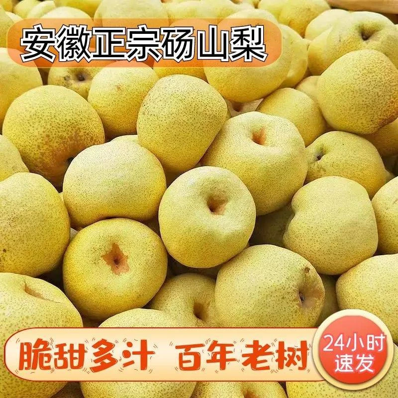 【顺丰速运】安徽正宗砀山梨新鲜水果酥梨老树梨黄雪梨当季3/9斤装