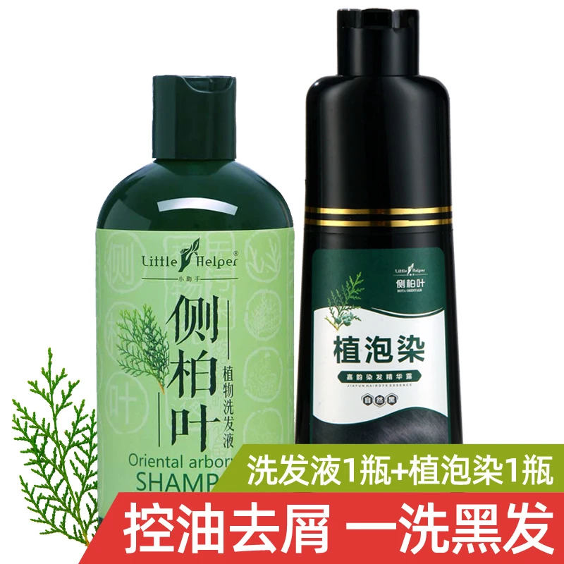 植物控油侧柏叶洗发水蓬松草本自然黑侧柏叶一洗黑泡泡染护理柔顺
