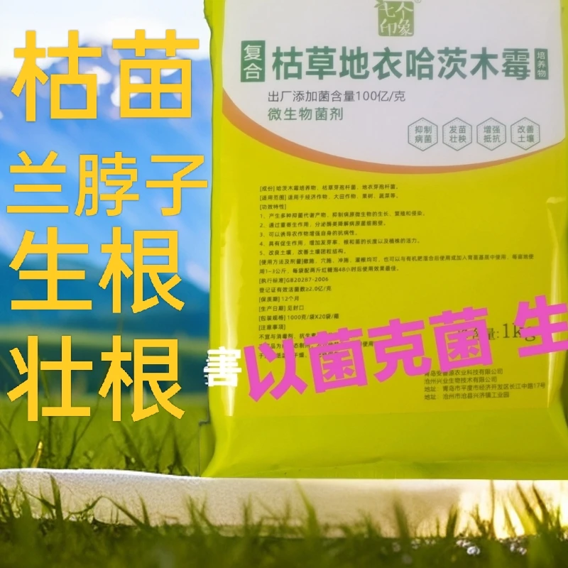 哈茨木霉枯草地衣芽孢杆菌大姜草莓烂脖子死棵大姜草莓西红柿专用