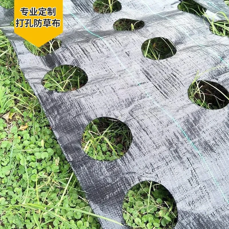 蔬果打孔防草布药材花卉开孔防草膜地膜黑色保湿农用菜地除草地布