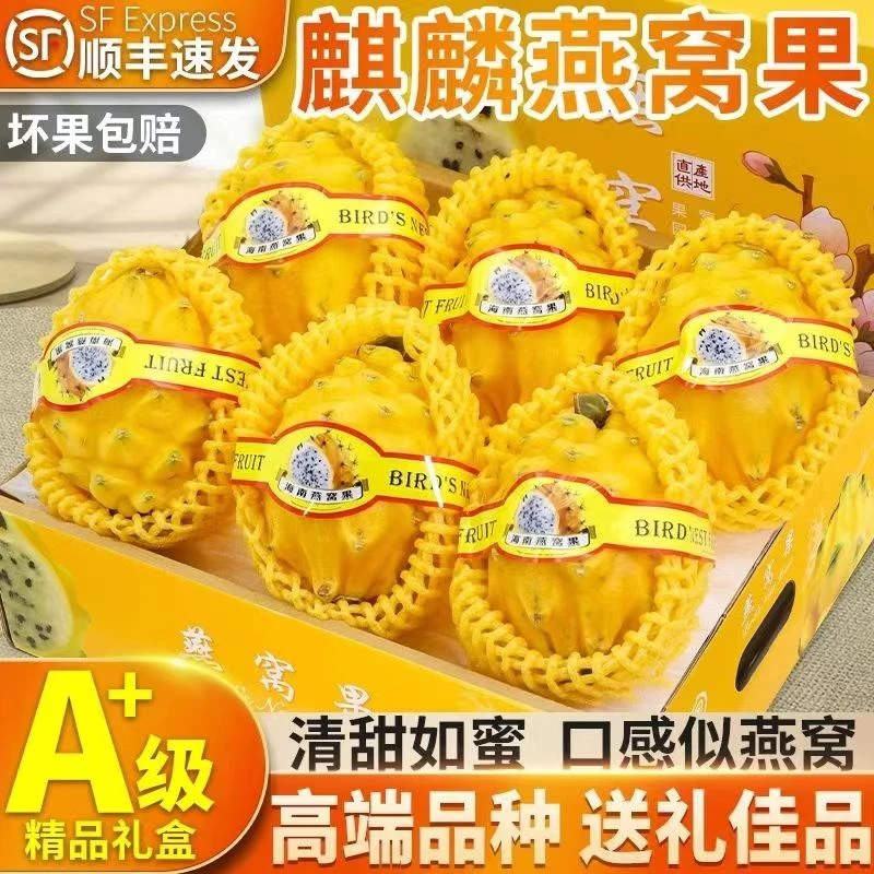 【顺丰包邮】海南鲜甜多汁冰糖燕窝果2-5斤礼盒装新鲜营养精品送礼