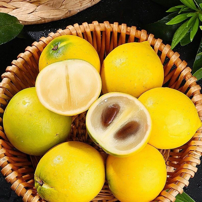 【顶级黄晶果】正宗海南黄宝石冬蜜黄晶果1-5斤装甜蜜多汁营养现摘