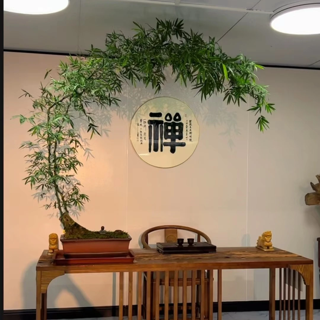 正宗小叶簕竹基地一物一拍盆景