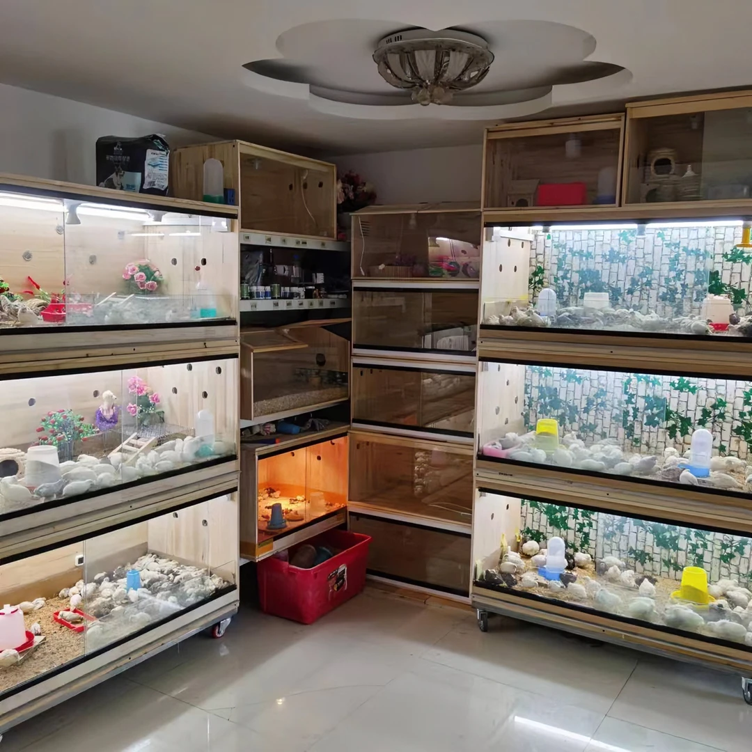 【全疆发货】芦丁鸡饲养箱全套宠物鸡舍窝育雏养殖专用造景笼子定制